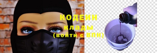 ешки Горняк